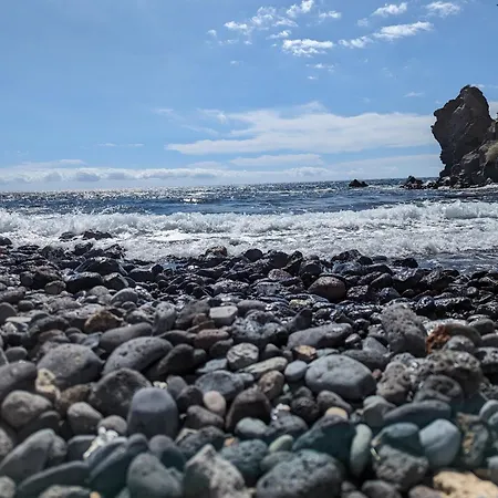 Lejlighed Sunny Seas Hideaway